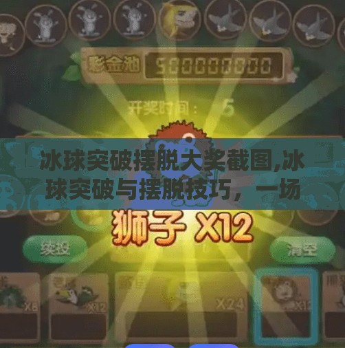 冰球突破摆脱大奖截图,冰球突破与摆脱技巧，一场竞技盛宴的幕后故事