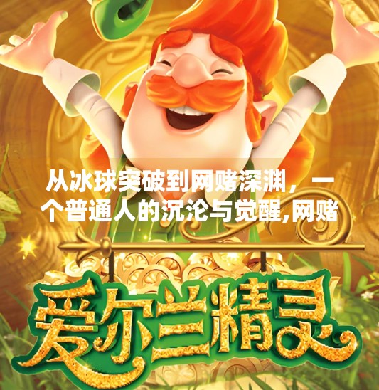 从冰球突破到网赌深渊,一个普通人的沉沦与觉醒,网赌冰球突破传奇大奖 从冰球突破到网赌深渊,一个普通人的沉沦与觉醒,网赌冰球突破传奇大奖
